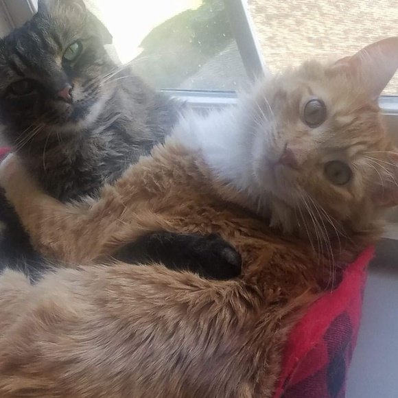 Meet Your Seller - Picture 4 of 5